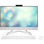 Моноблок HP 24-df1 488J4EA+SNV2S/250G